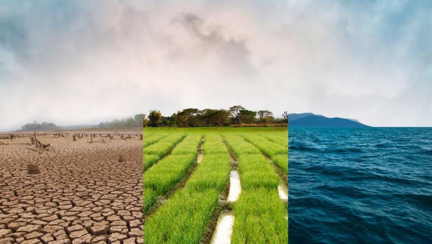 Climate Resilience & Environmental Conservation